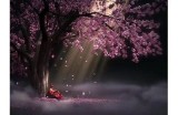 主播糖心所使用的背景音乐类型及推荐曲目介绍