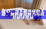 《甜美糖心主播独特昵称合集，展现个性与魅力》