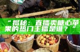探索糖心Vlog：苹果产品使用指南与精彩分享平台
