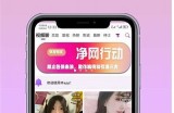 《探索糖心APP主播的收入情况与发展潜力》