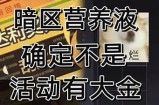 《暗区突围》主播互动：跟随糖心一起探险游戏世界
