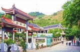 探索云南昭通独特的糖心苹果，主播带你品味鲜美之旅