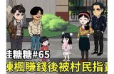 “林夏主播：探索甜蜜世界的糖心故事与成长旅程”