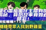 《糖心主播》剧情解析：分集故事与角色发展全揭秘