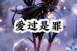 “糖心up主播动态揭秘：谁是最受欢迎的主播？”