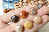 《糖心主播在线直播，精彩互动不容错过！》