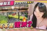 《甜美主播尤奈的魅力与直播之路探索》