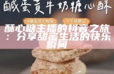 “主播爱吃酥心糖的故事，揭开甜蜜背后的秘密”