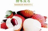 荔枝平台主播糖心：与粉丝分享生活点滴与音乐之旅