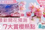 《闪耀夜空的糖心主播：萤火突击带来的奇妙体验》