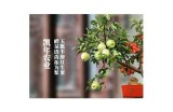 《糖心Vlog精彩视频观看入口及相关信息汇总》