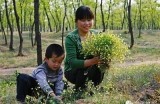 探索福利微拍：主播糖心带你体验直播新乐趣！