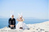 糖心主播婚纱美照精选，展现甜美魅力与优雅气质