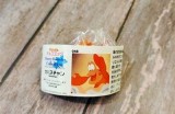 迷你主播带你探索糖心皮蛋的美味与魅力