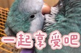 陪你分享甜蜜时刻的小熊主播，快来一起互动吧！