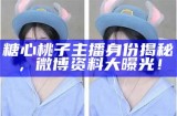 糖心Vlog官方下载与使用指南，让你的观看体验更畅快