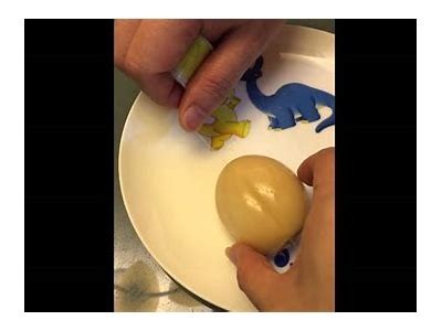 糖心蛋主播教你做美味家常菜，轻松变身厨艺高手！