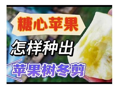 《糖心Vlog苹果版官网：探索有趣生活的全新视角》
