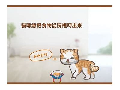 《糖心主播果酱：分享甜蜜生活的精彩瞬间》