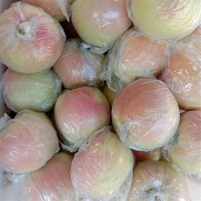 茂县优质糖心红富士苹果直播推荐，品尝自然美味！