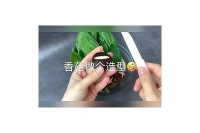 糖心VIog官方网站访问入口与使用指南解析