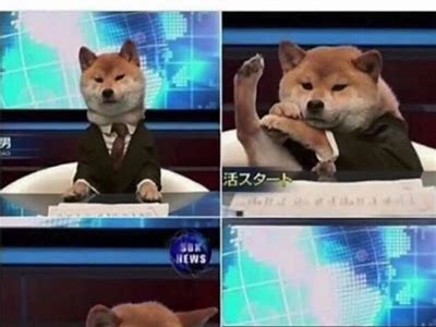 了解哪些主播以糖心露脸而受到关注，探索他们的魅力与特色