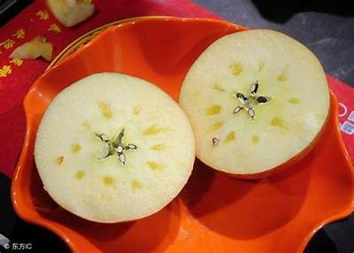 “糖心苹果”直播秀：探索新鲜果品与直播魅力的完美结合！
