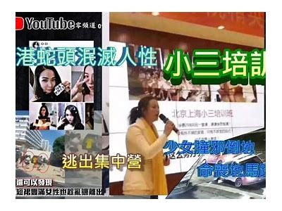 《糖心巴拉：带你探索直播背后的故事与乐趣》