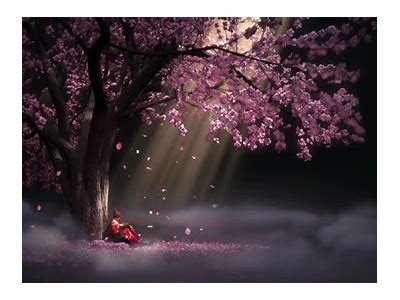 主播糖心所使用的背景音乐类型及推荐曲目介绍
