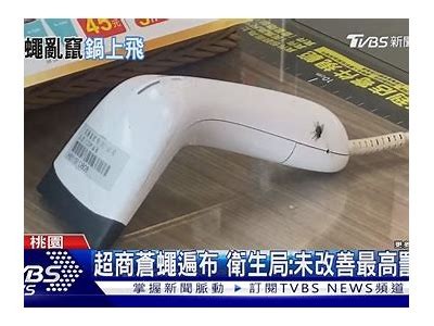 主播品尝美味茶叶蛋与软心蛋，分享美食体验与制作秘笈