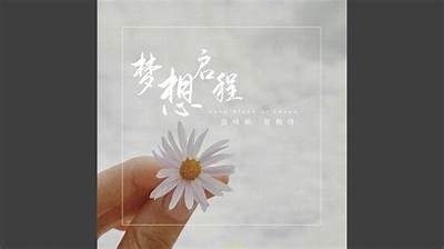 梦想启航：糖心圆梦直播之旅，与你共享精彩瞬间