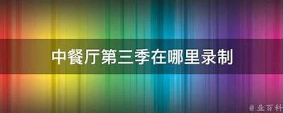 《中餐厅》第三季免费观看完整版，畅享舌尖上的美味之旅