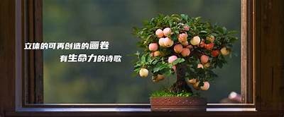 精选糖心主播精彩视频集锦，甜蜜时刻尽在其中！