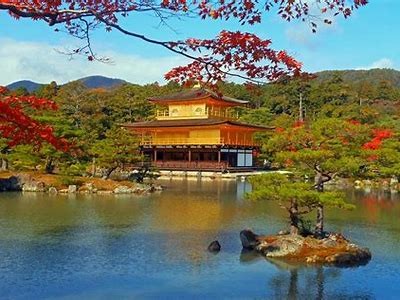 《在日本水中探险：畅享地状语电影免费观看体验》