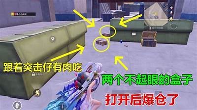 快手CF主播糖心：分享游戏技巧与精彩时刻，与你一起畅玩！