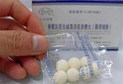 男生糖心主播名称精选大全，个性化推荐与分析