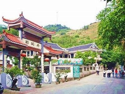 探索云南昭通独特的糖心苹果，主播带你品味鲜美之旅