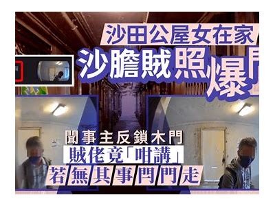 甜美主播妮可的直播之旅：展现多才多艺的魅力与乐趣