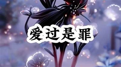 “糖心up主播动态揭秘：谁是最受欢迎的主播？”