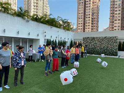 《糖心直播：分享生活点滴与互动乐趣的温暖社区》