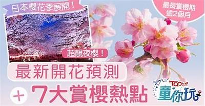 《闪耀夜空的糖心主播：萤火突击带来的奇妙体验》