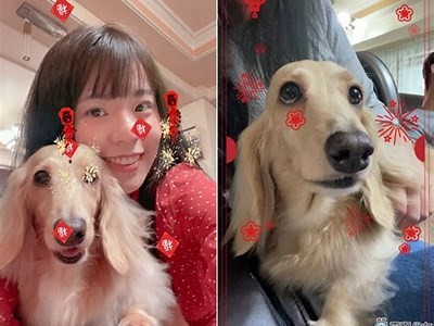 可爱主播形象素材分享，打造甜美糖心风格！