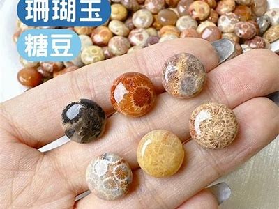 《糖心主播在线直播，精彩互动不容错过！》