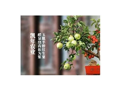 《糖心Vlog精彩视频观看入口及相关信息汇总》