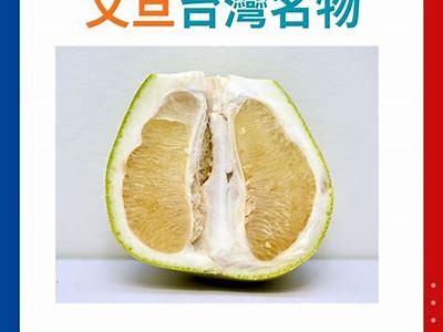 “探索柚子猫的精彩生活：糖心VLOG官方网站带你领略独特魅力”
